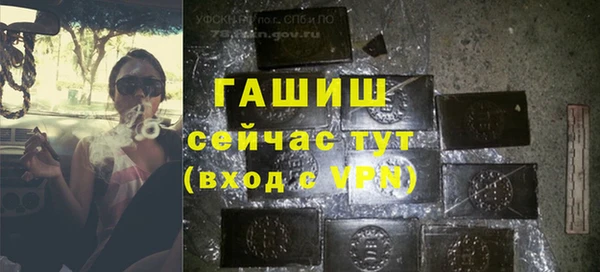 герыч Мегион