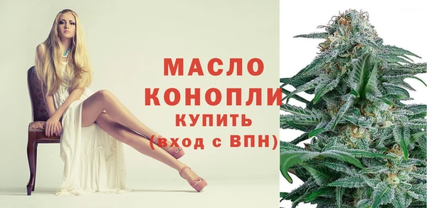 индика Краснотурьинск