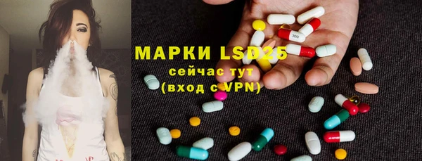 индика Новый Уренгой