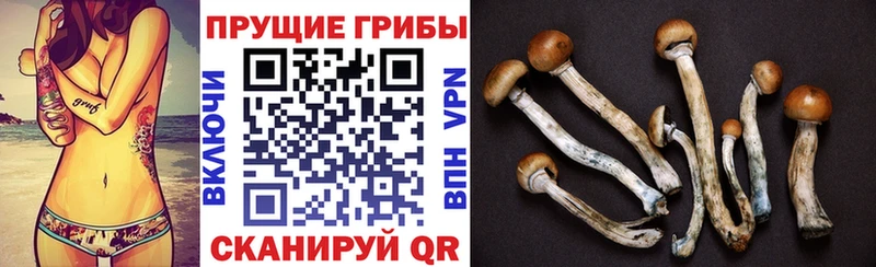 Псилоцибиновые грибы ЛСД  купить закладку  Ядрин 